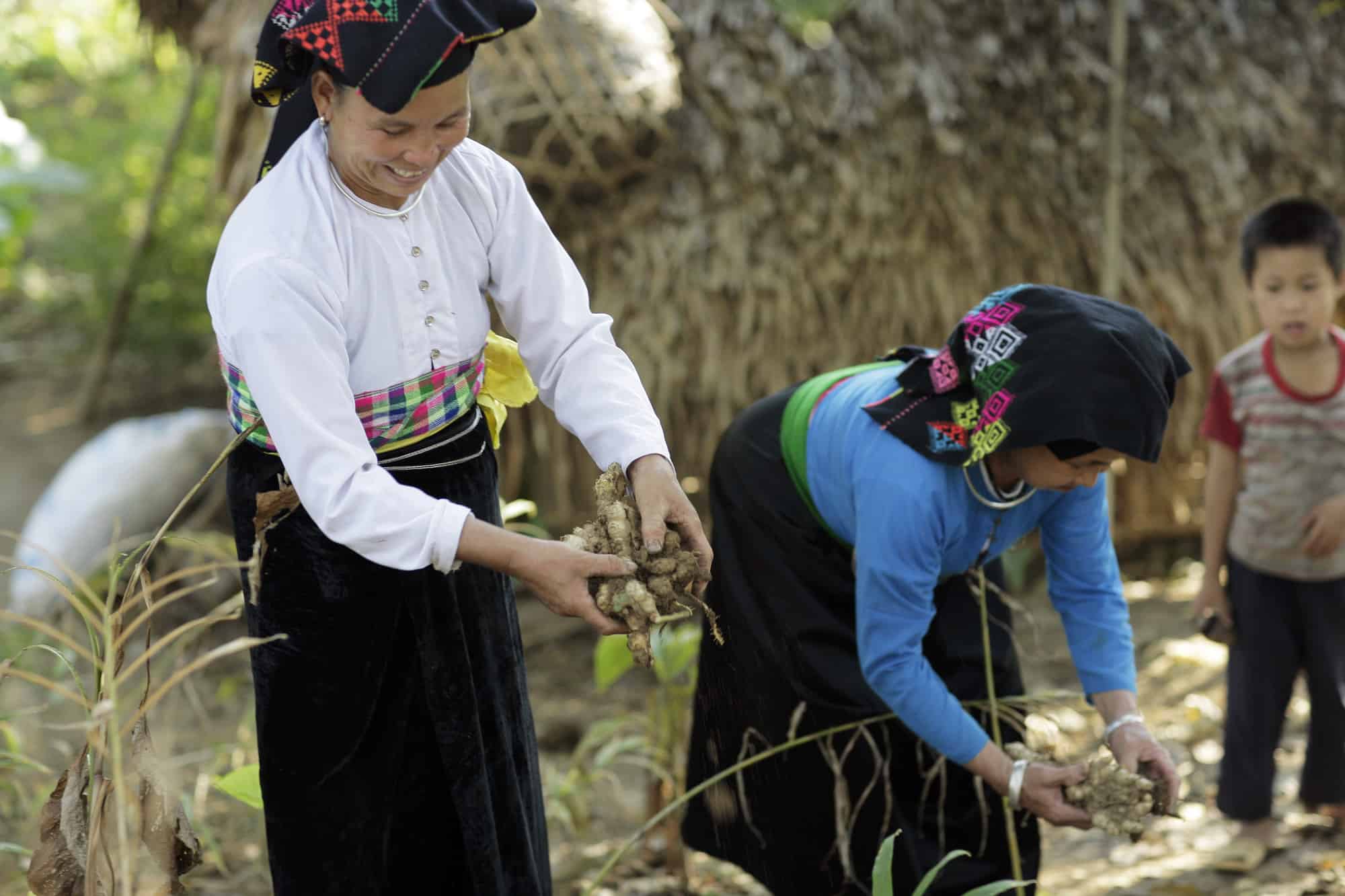Archive-Vietnam-Oxfam-1